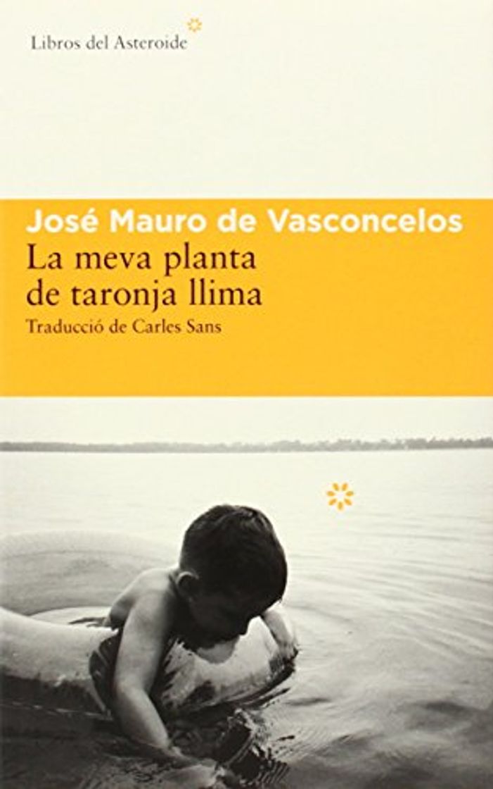 La meva planta de taronja llima: VII