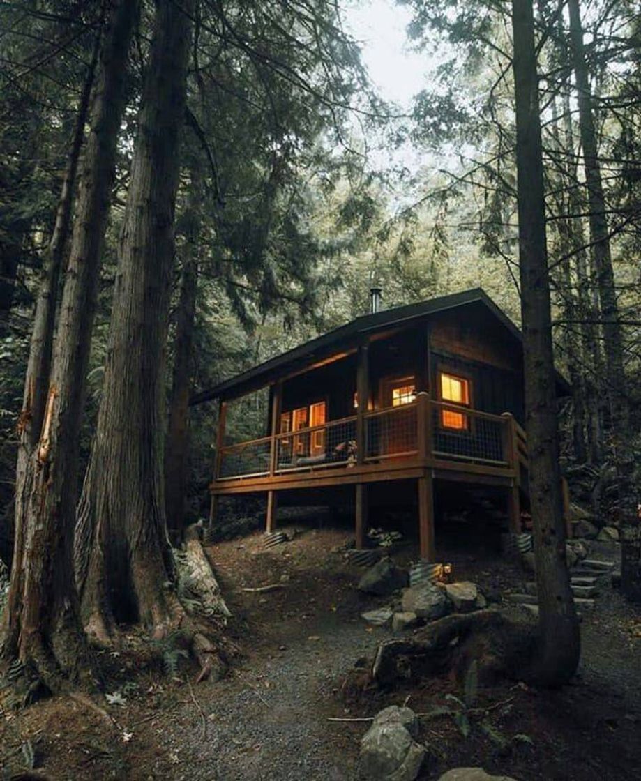 Moda 🏠🌲