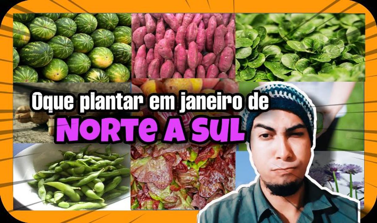 Fashion @Hortatopbrasilyoutube canal relacionado a dicas de horta 