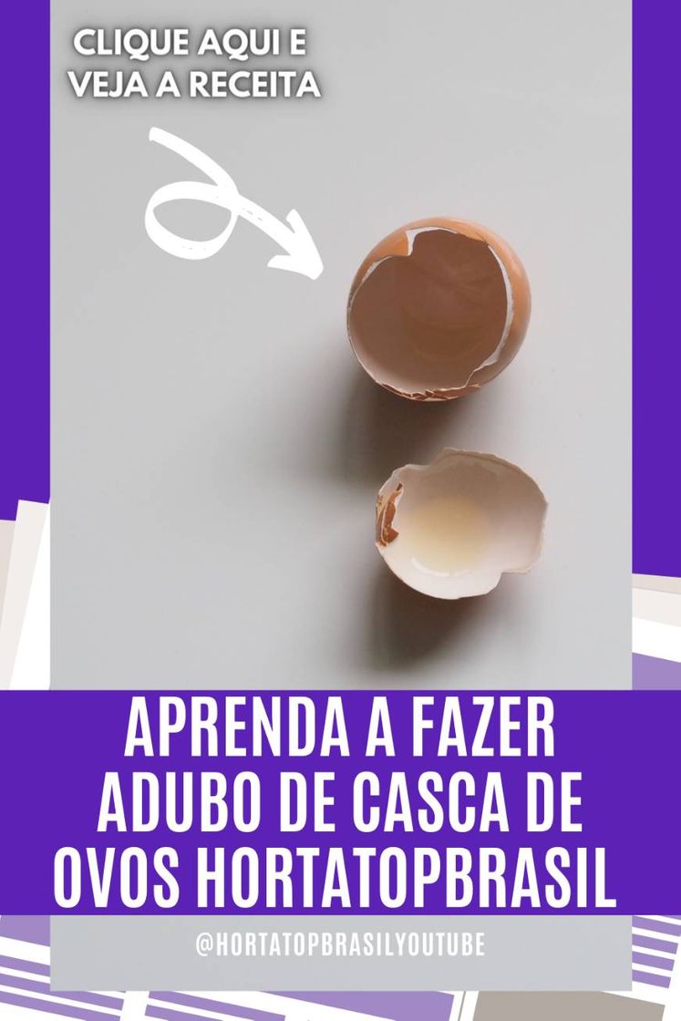 Fashion Aprenda a fazer adubo com cascas de ovos para a sua horta 