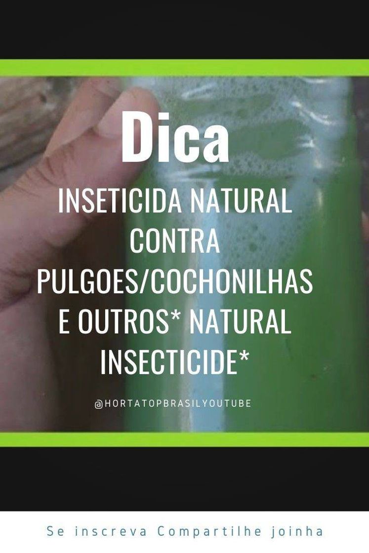 Fashion Dica de inseticida natural para sua horta. 