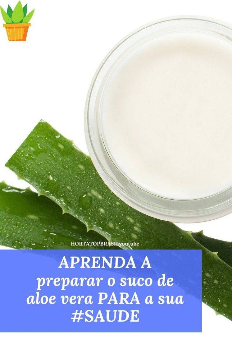 Fashion Aprenda a fazer suco de babosa para a saúde 