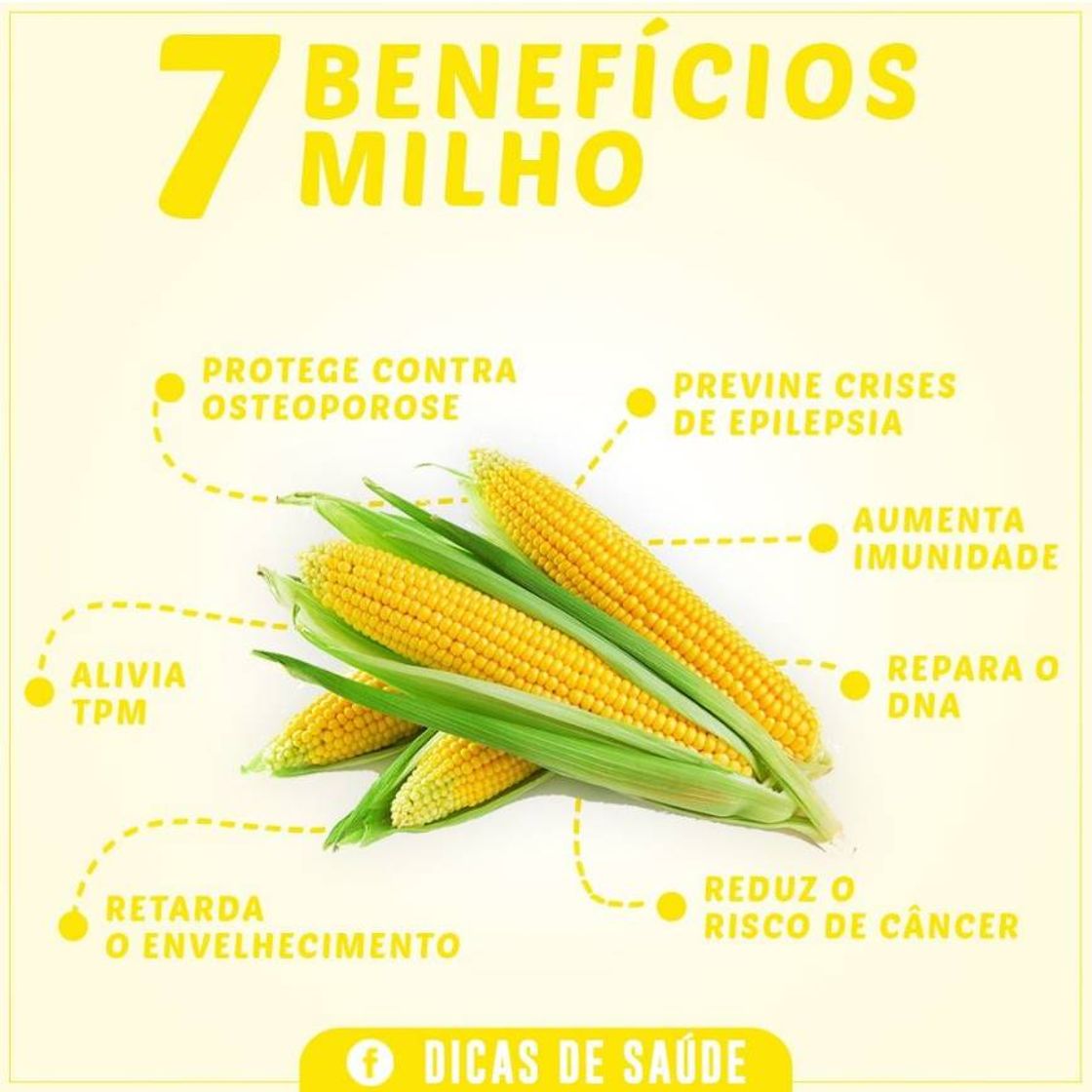 Moda Benefícios do milho para saúde 