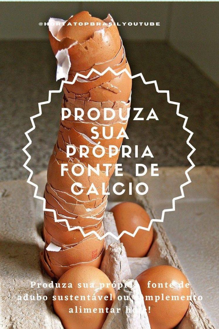 Moda Aprenda a fazer adubo caseiro de cálcio 