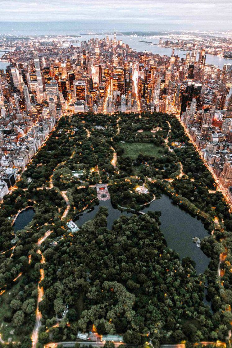 Social Nova York 