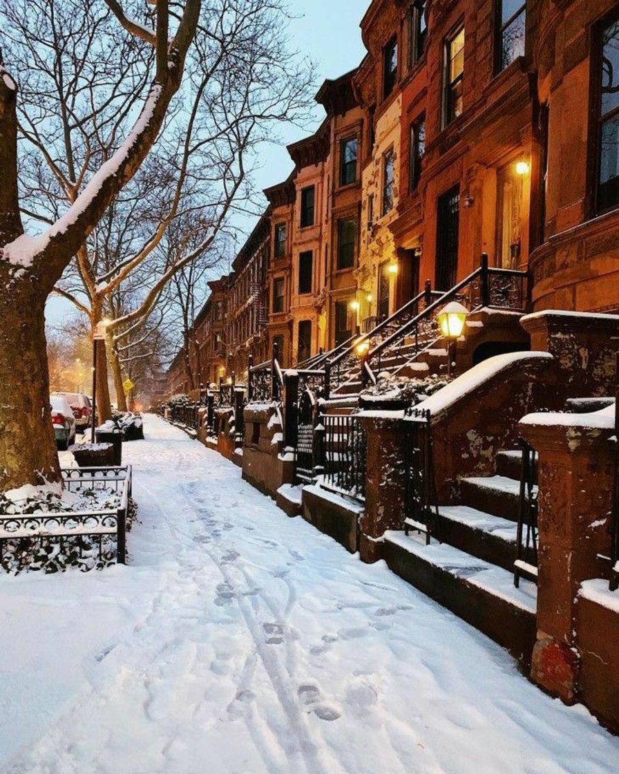 Social Nova York 