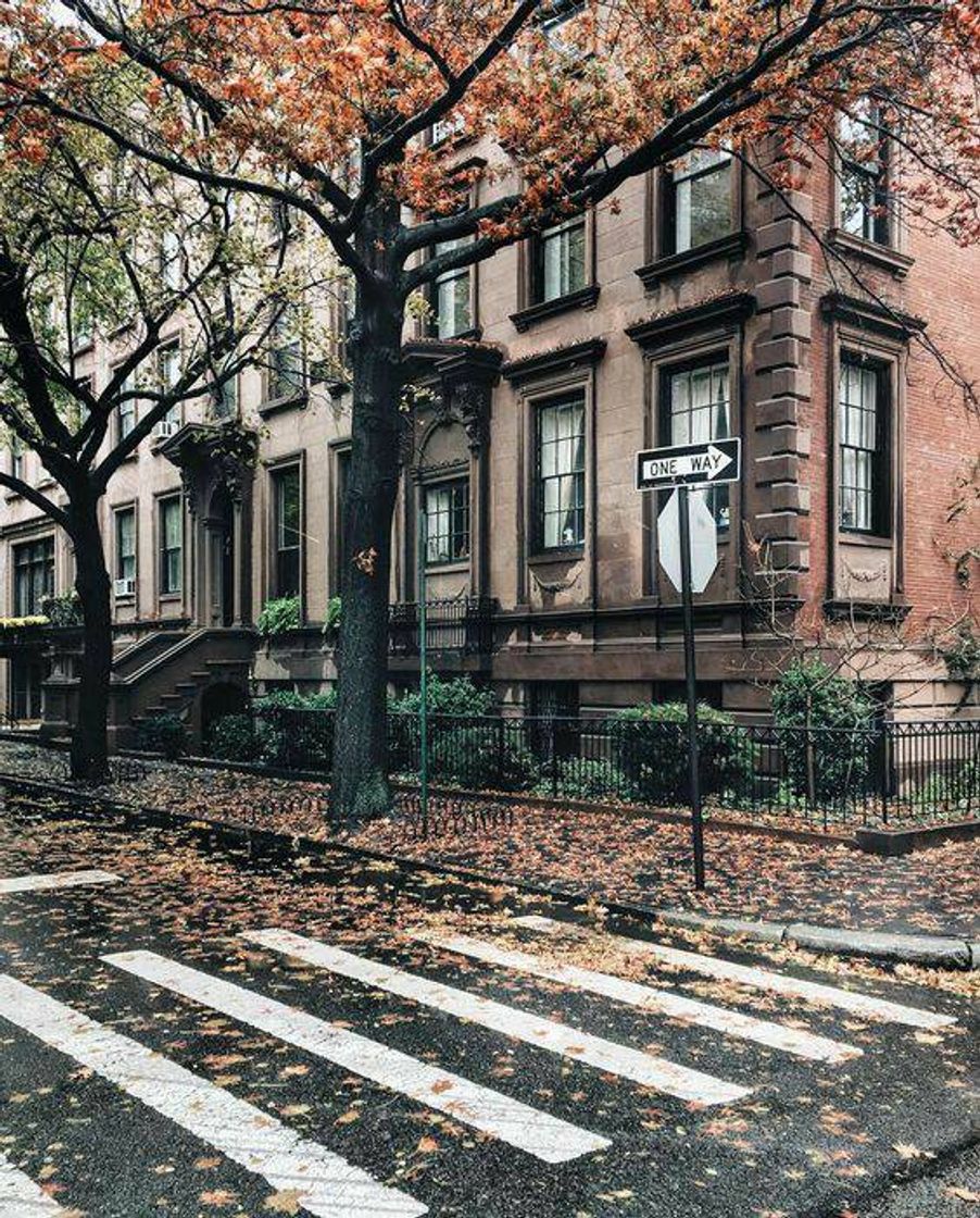 Social Nova York 