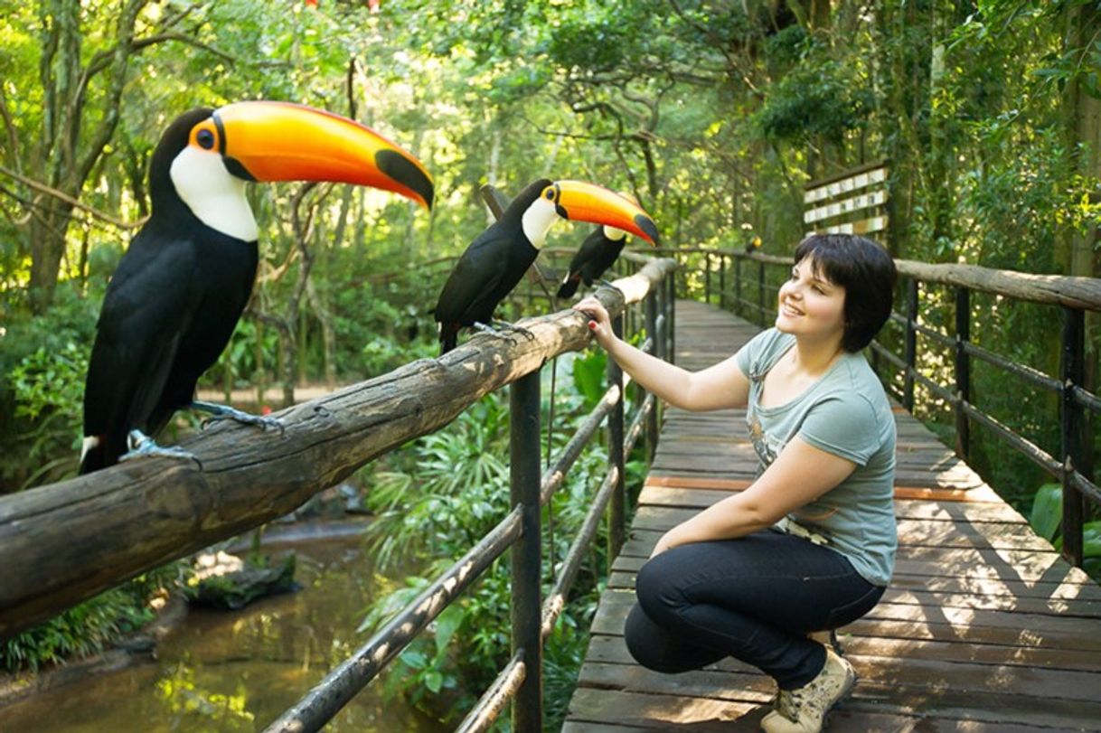 Lugar Parque das Aves