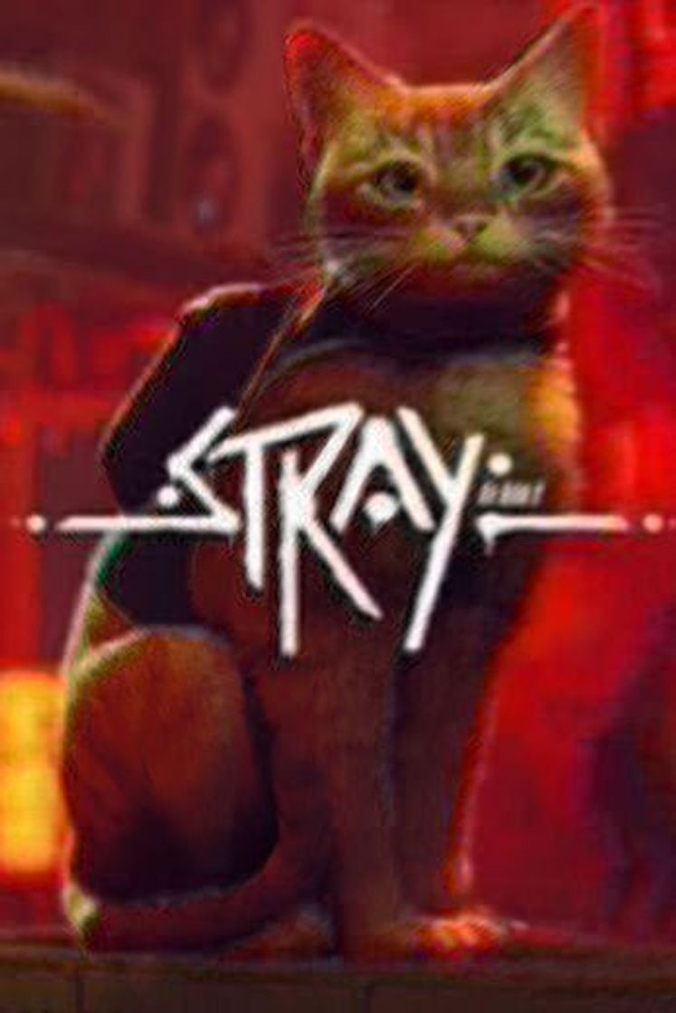 Videogames Stray - El gato callejero