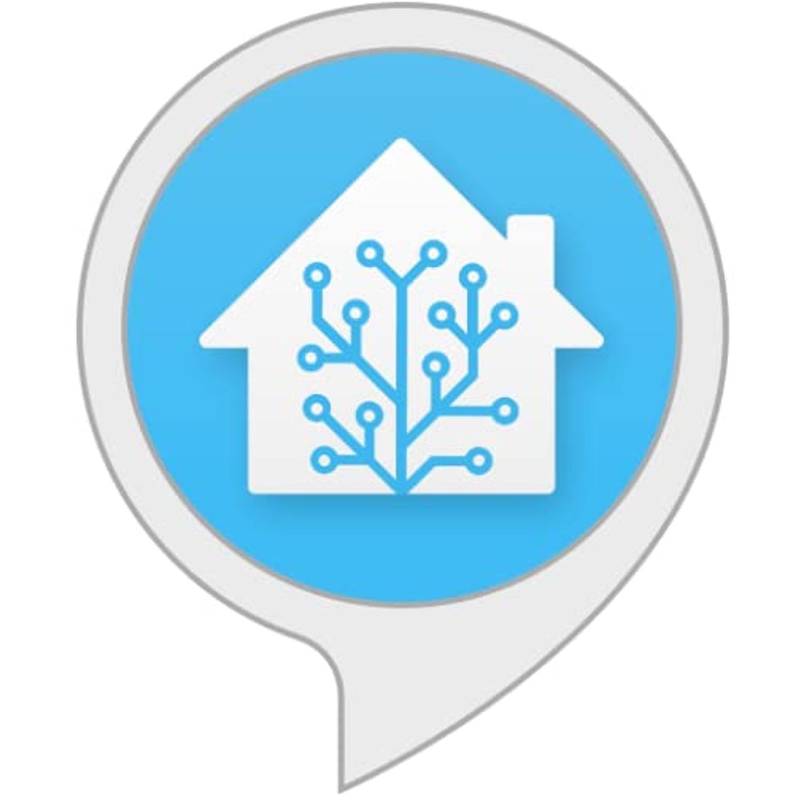 Lugar Home Assistant