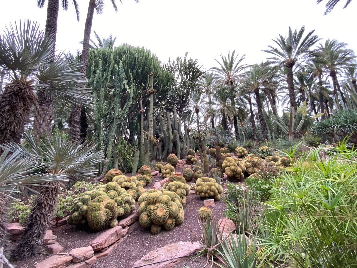 Lugar Jardín Huerto del Cura