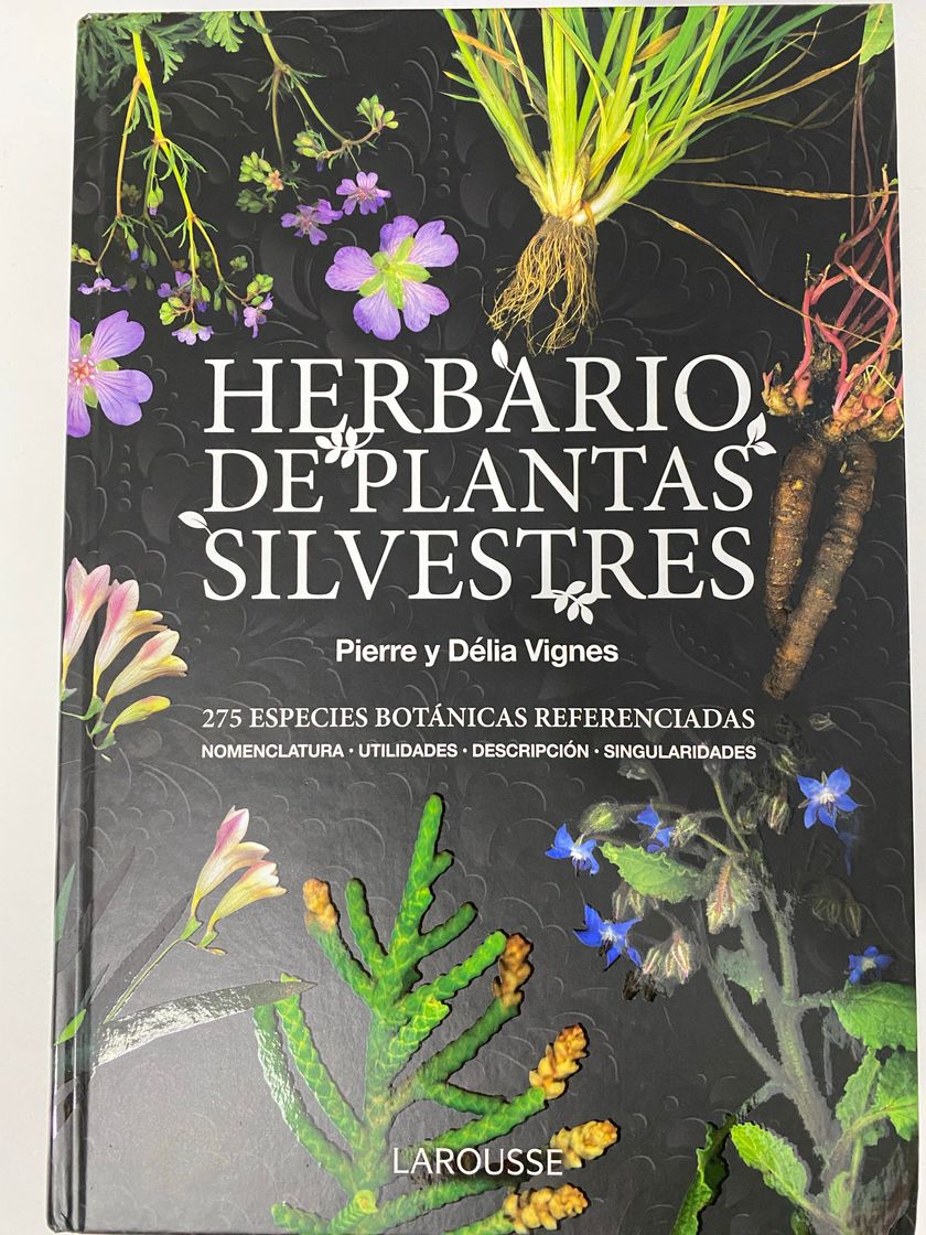 Libro Herbario de plantas silvestres.