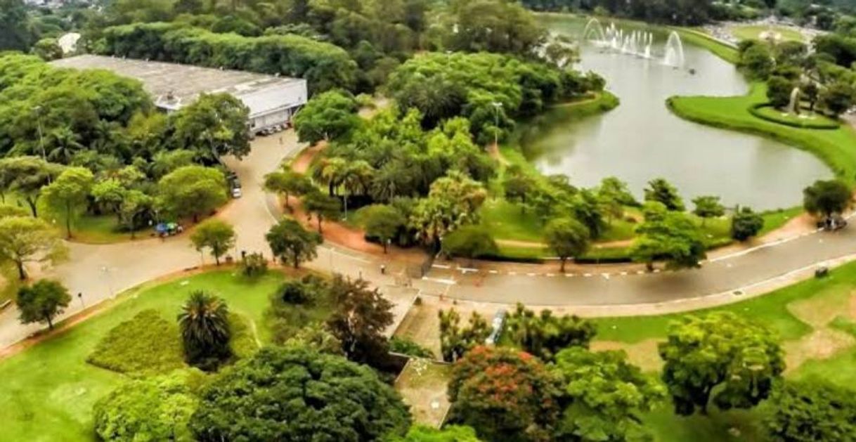 Lugar Parque Ibirapuera