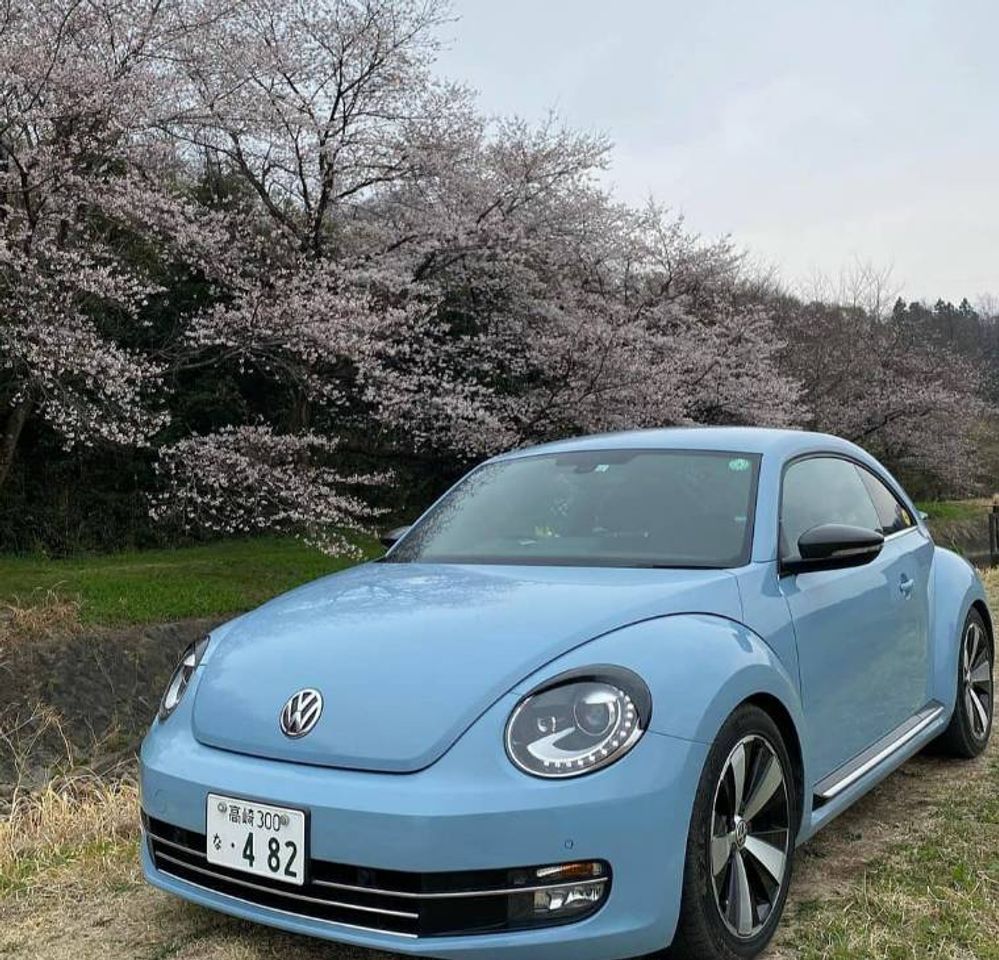 Fashion Novo Fusca / New Beetle