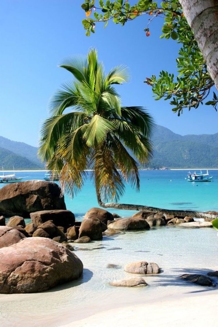 Lugar Ilha Grande