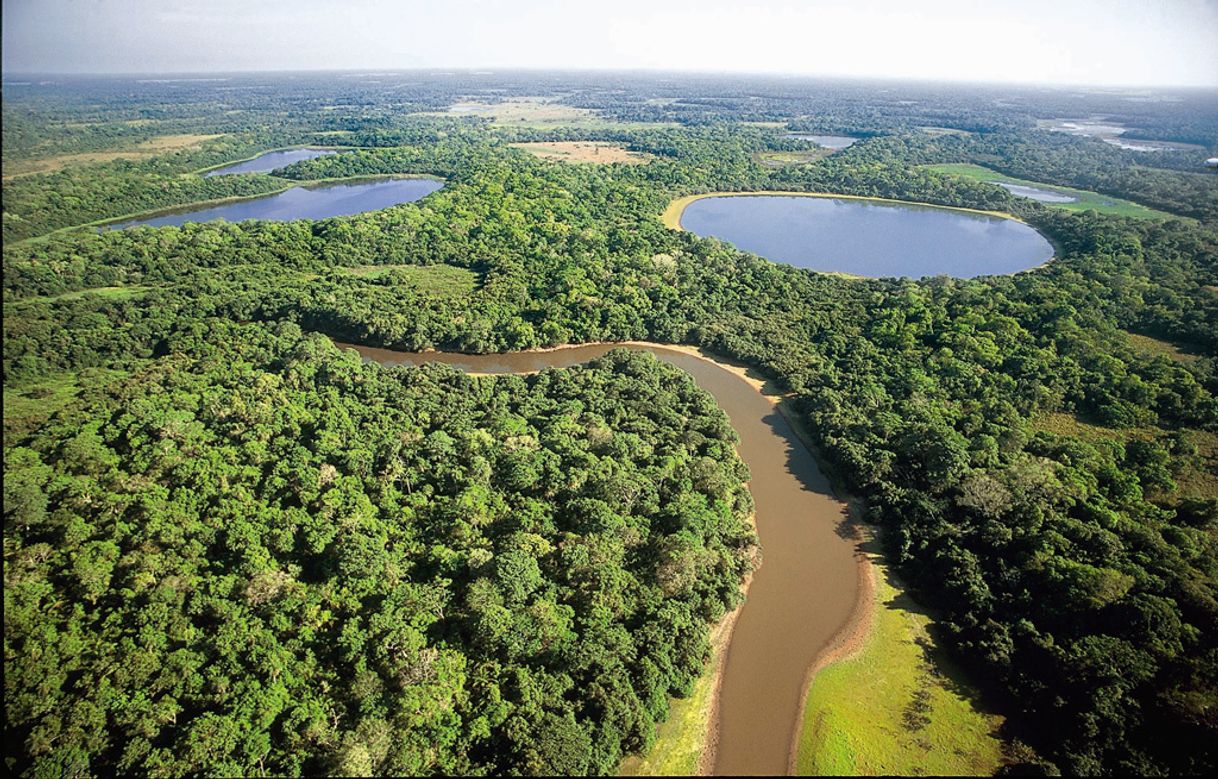 Place Pantanal