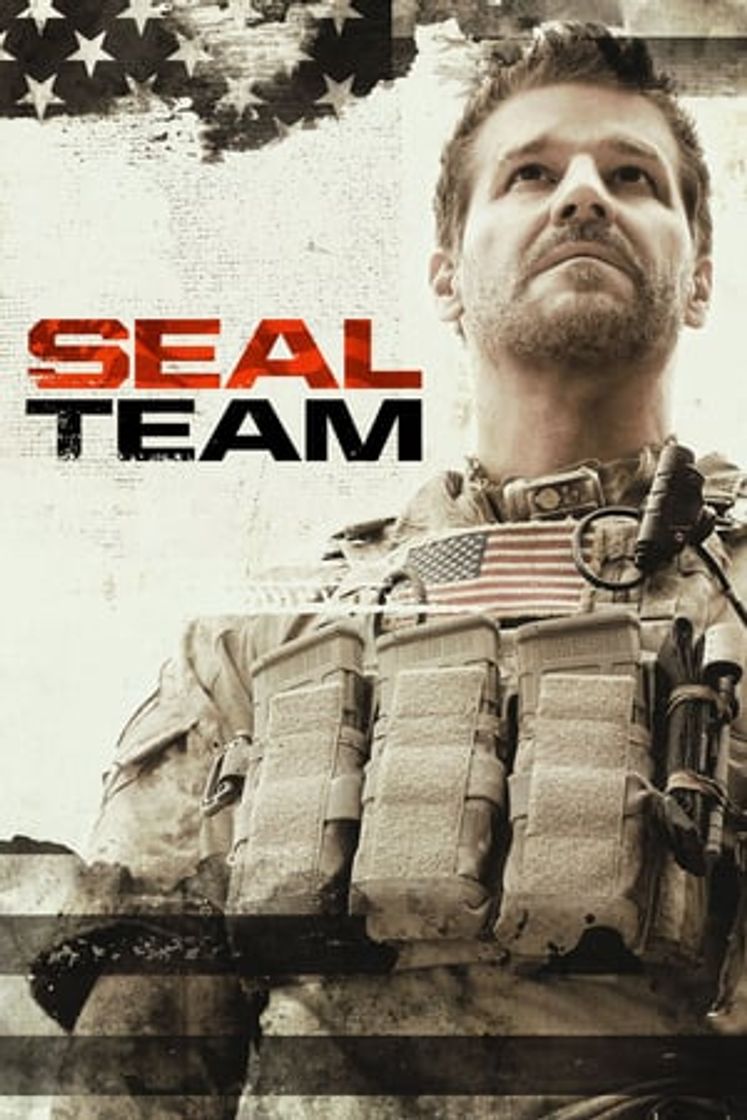 Serie SEAL Team