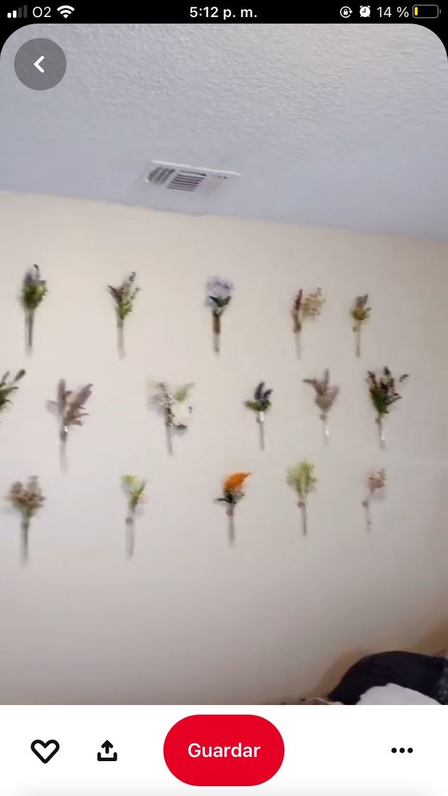 Social Vídeo decoración ✨