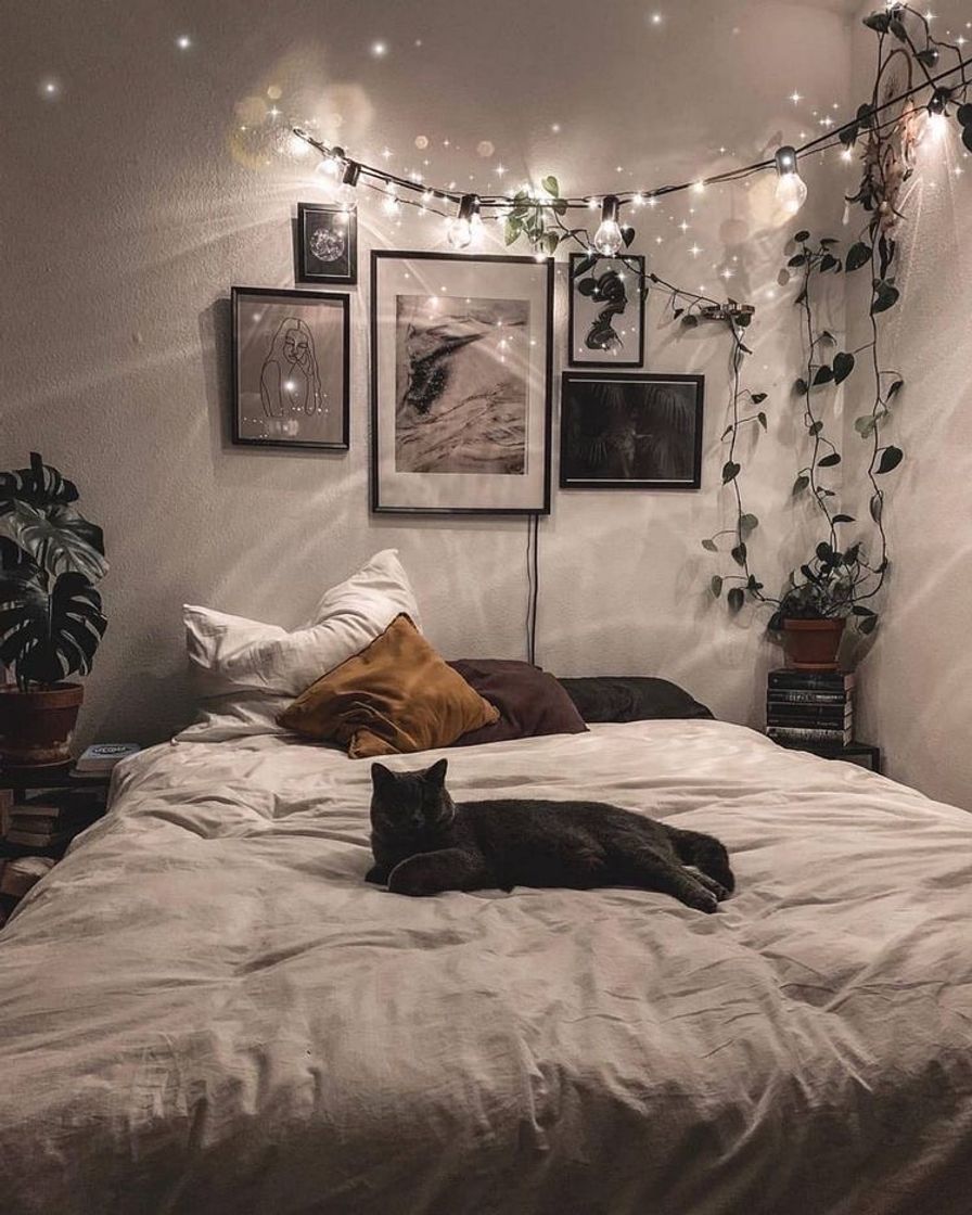 Social Decoración lunes y plantas 🌱✨