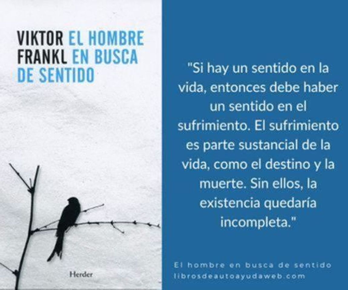 Libros EL HOMBRE EN BUSCA DE SENTIDO - Viktor E. Frankl 