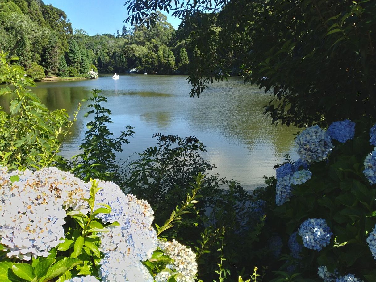 Place Lago negro