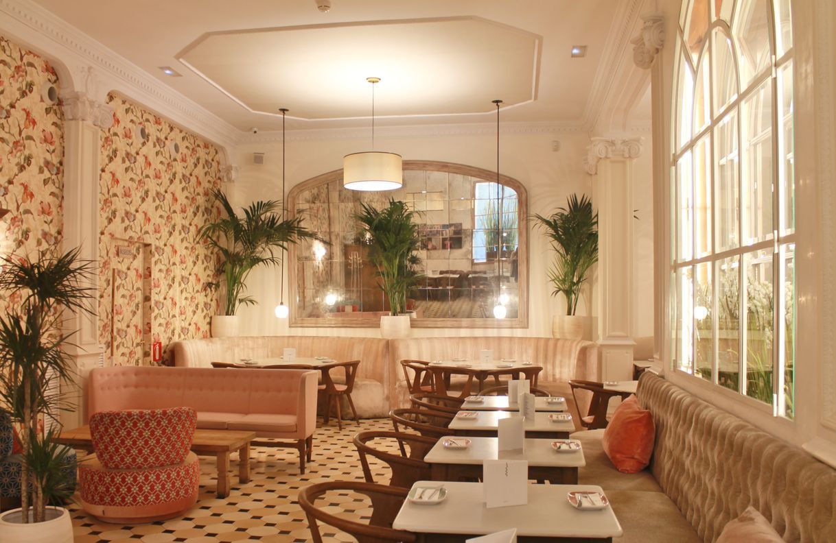 Restaurants Lateral