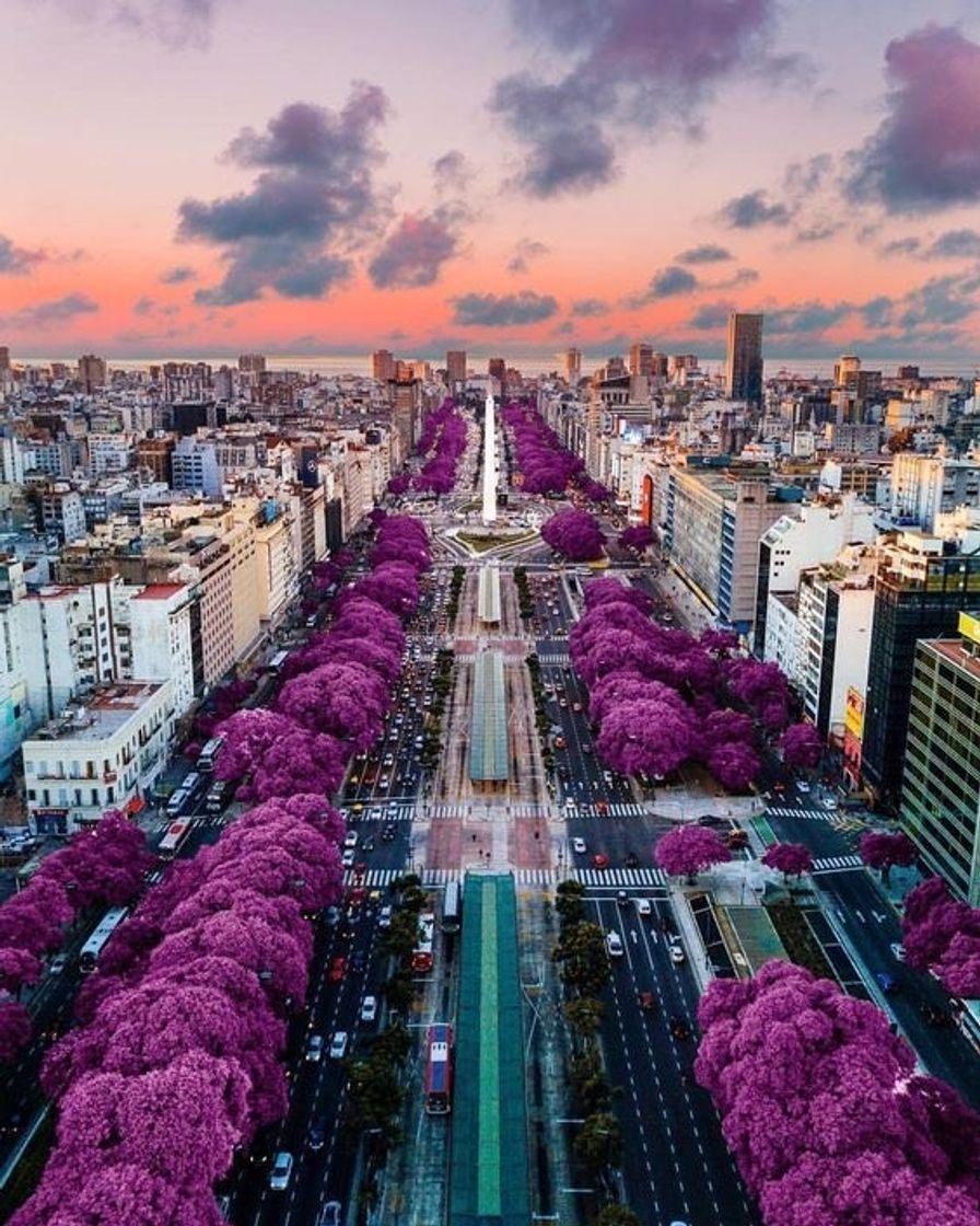 Lugar Argentina