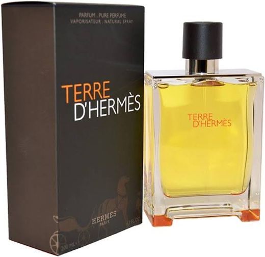 Perfume Hermès Terre D'Hermès Vetiver Masculino Eau 