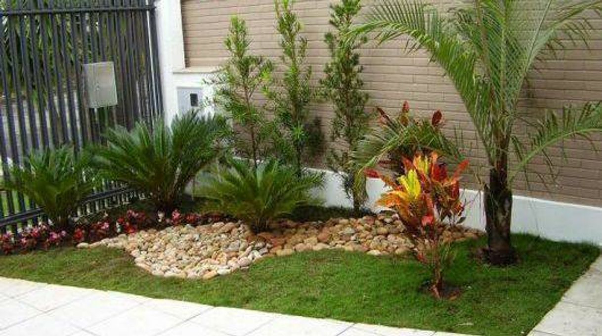 Producto Jardim externo 