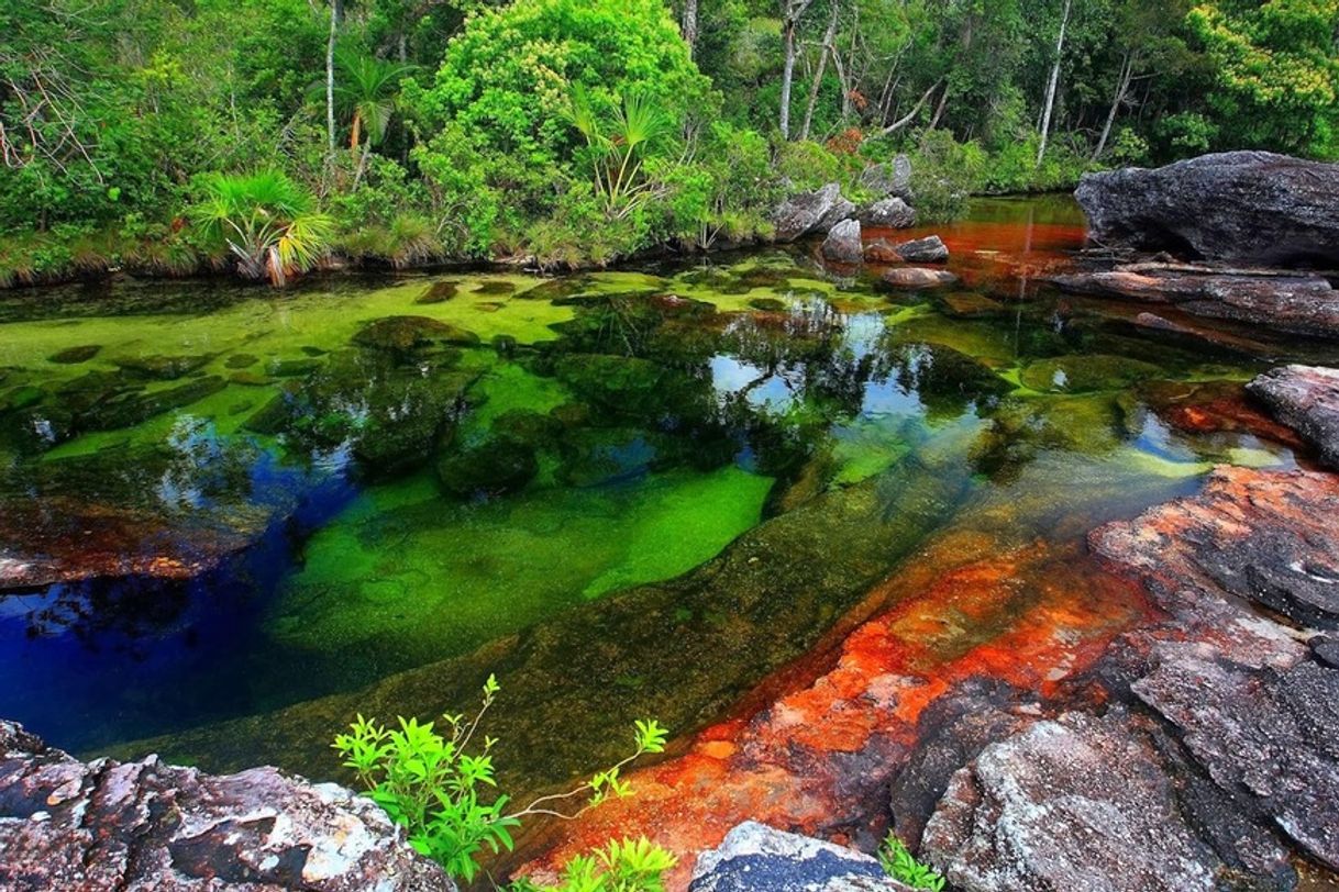 Place Caño Cristales