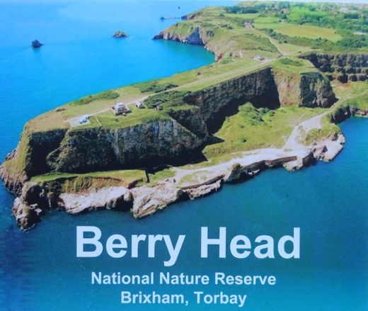 Berry Head National Nature Reserve