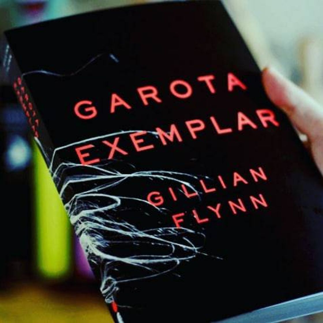 Book Garota Exemplar