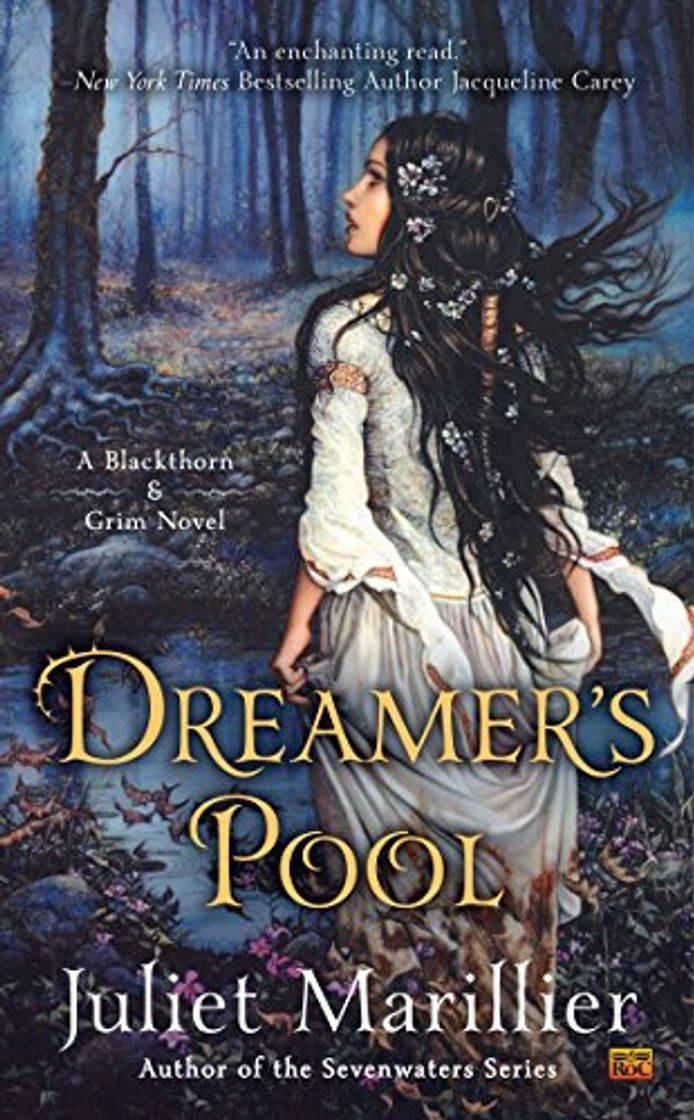 Libros Dreamer's Pool: A Blackthorn & Grim Novel [Idioma Inglés]: 1