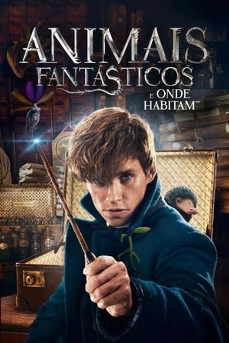 Animales fantásticos y dónde encontrarlos
