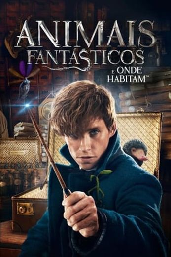 Fantastic Beasts and Where to Find Them