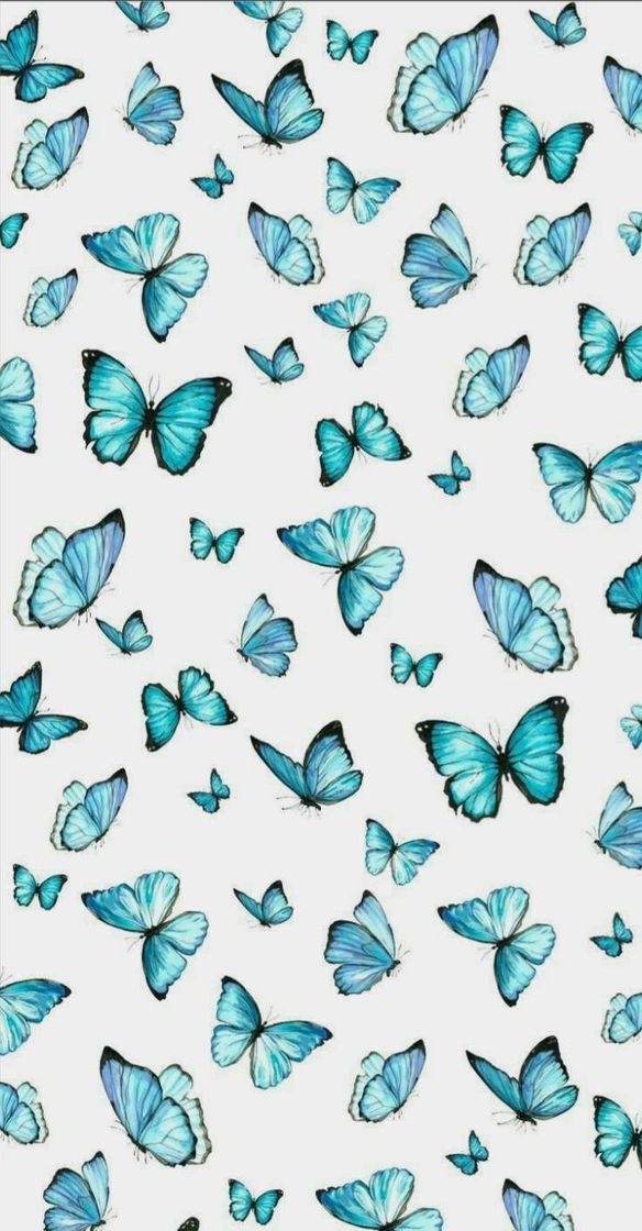 Moda Butterfly🦋