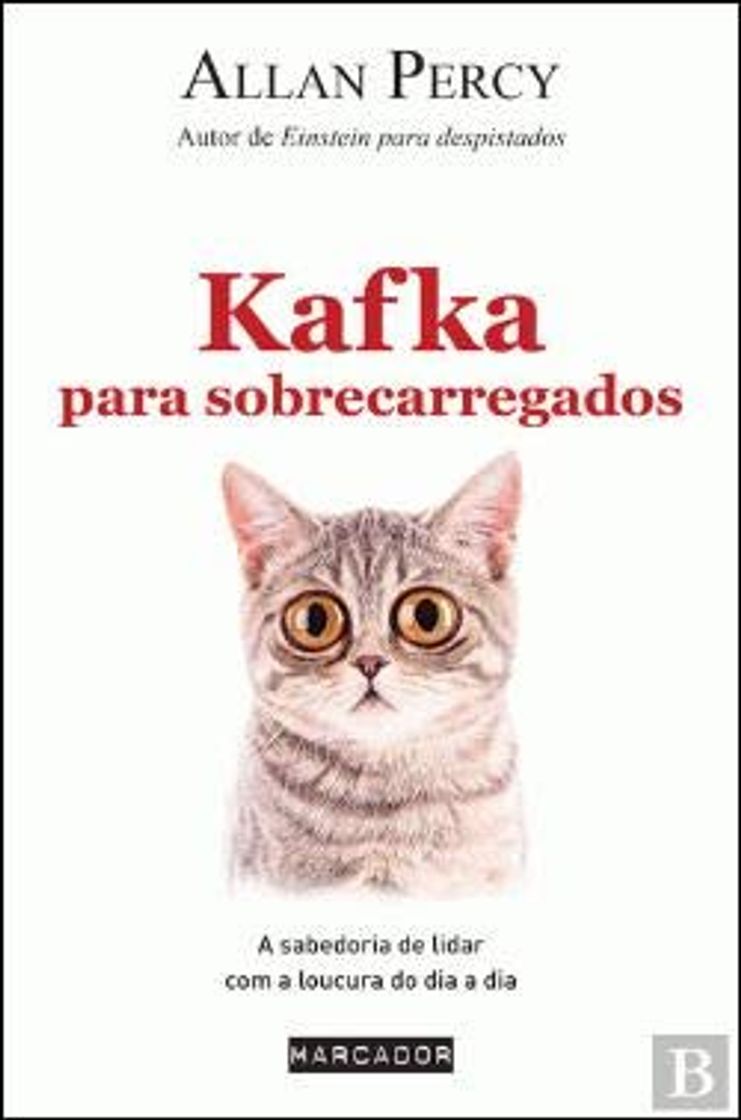 Libro Kafka Para Sobrecarregados