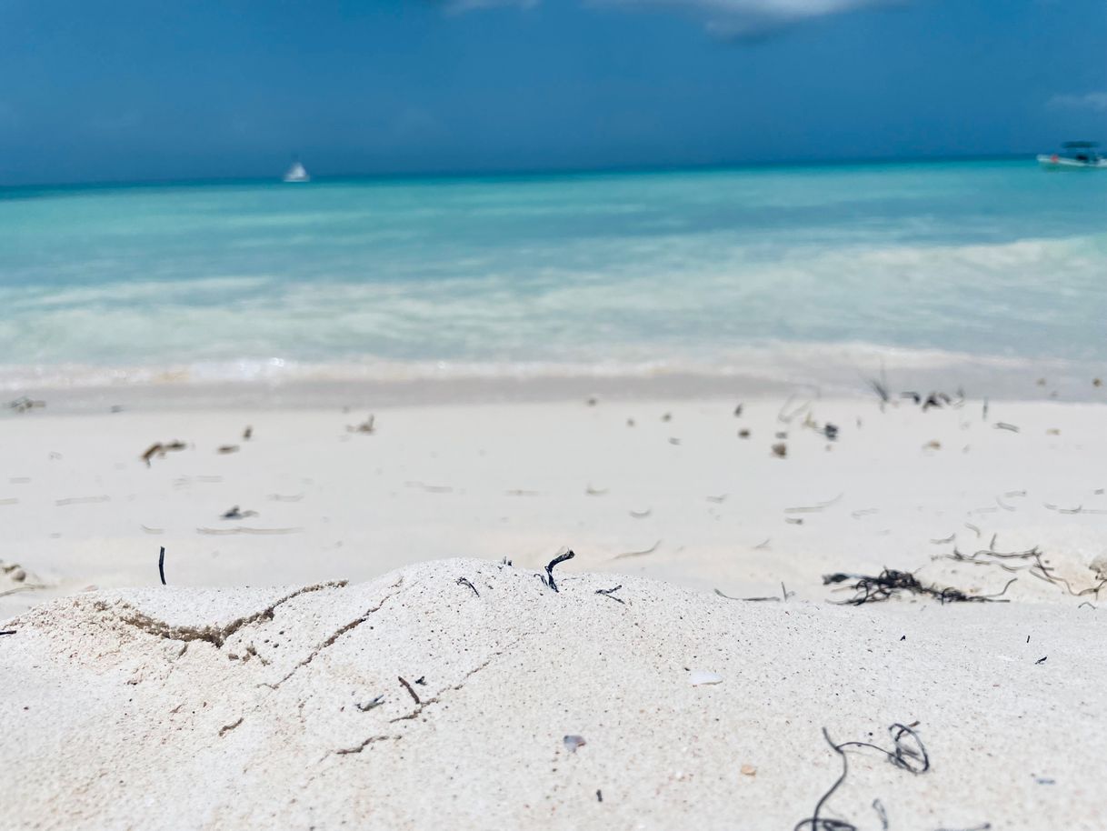 Lugar Isla Saona