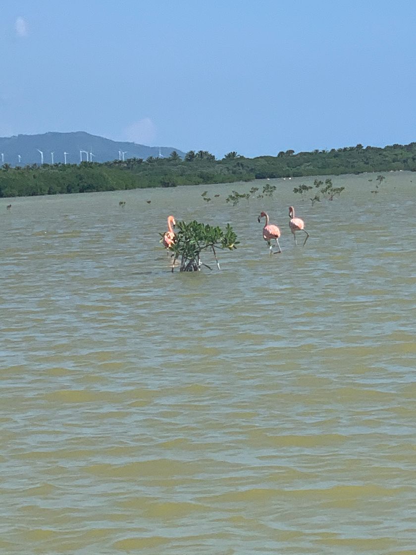 Lugar Laguna de Oviedo