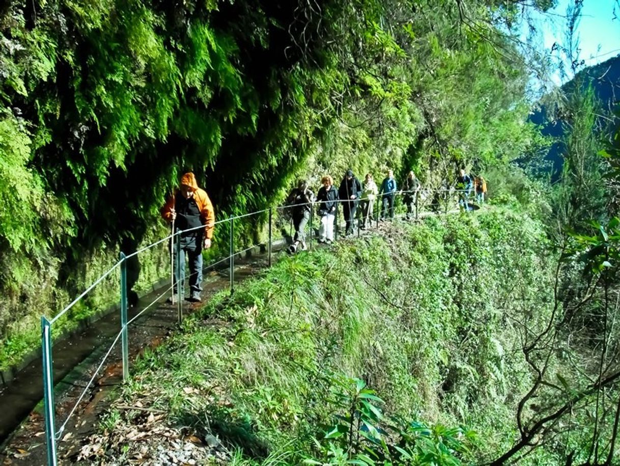 Lugar PR18 Levada Do Rei