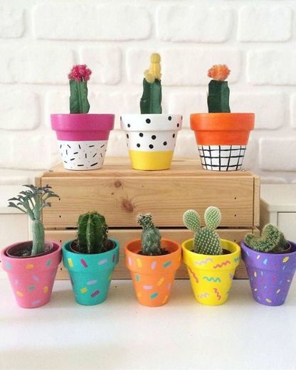 colorful cactus 