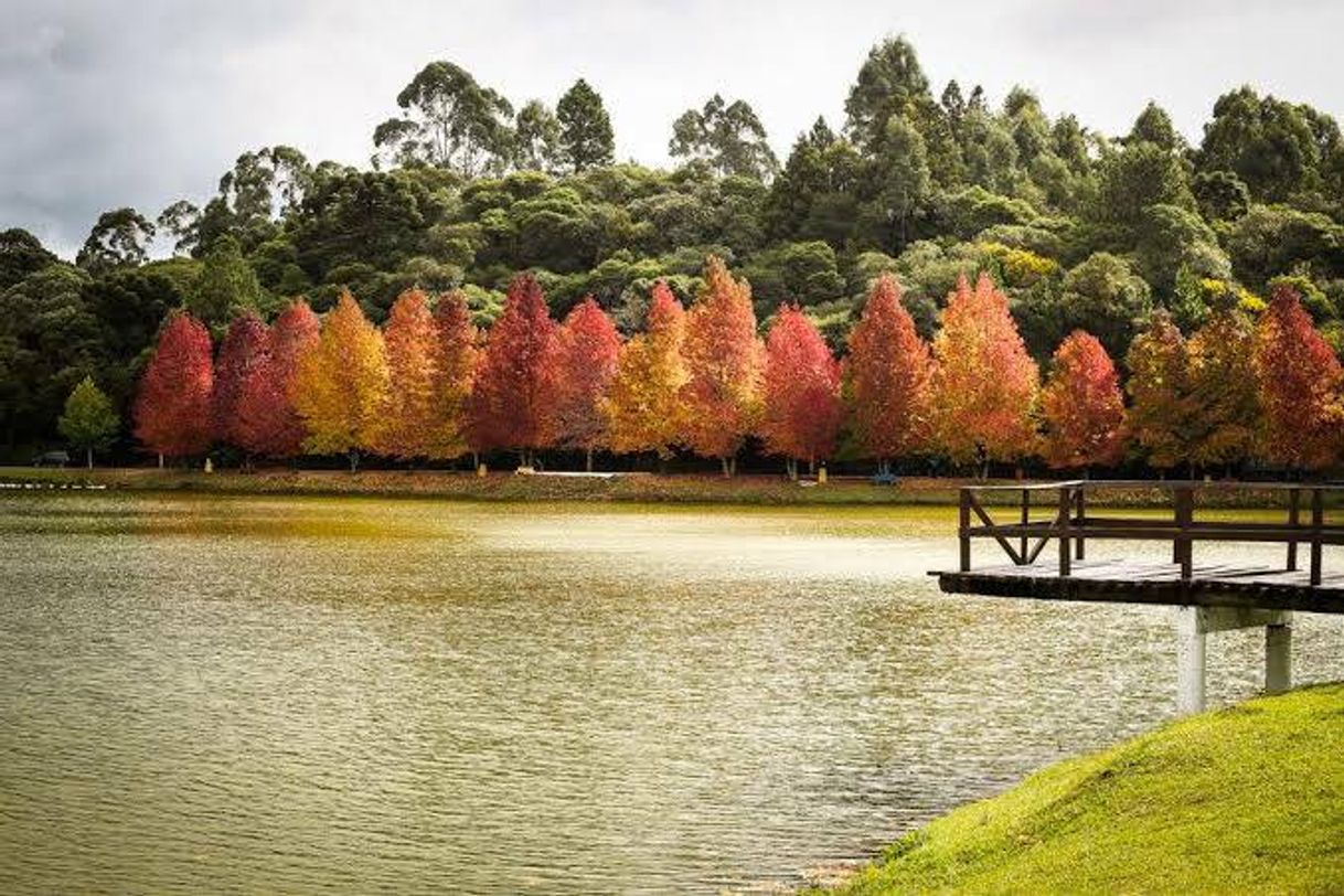 Lugar Lago São Bernardo