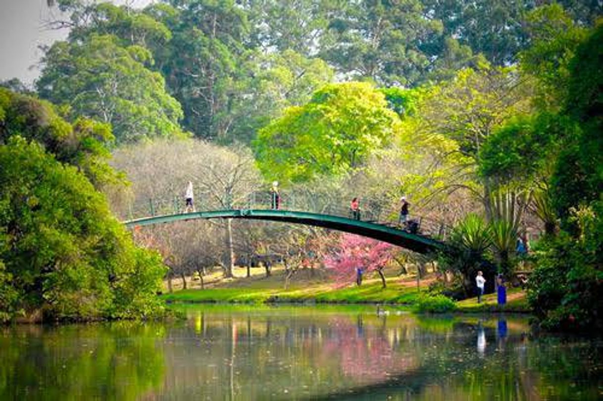 Lugar Parque Ibirapuera