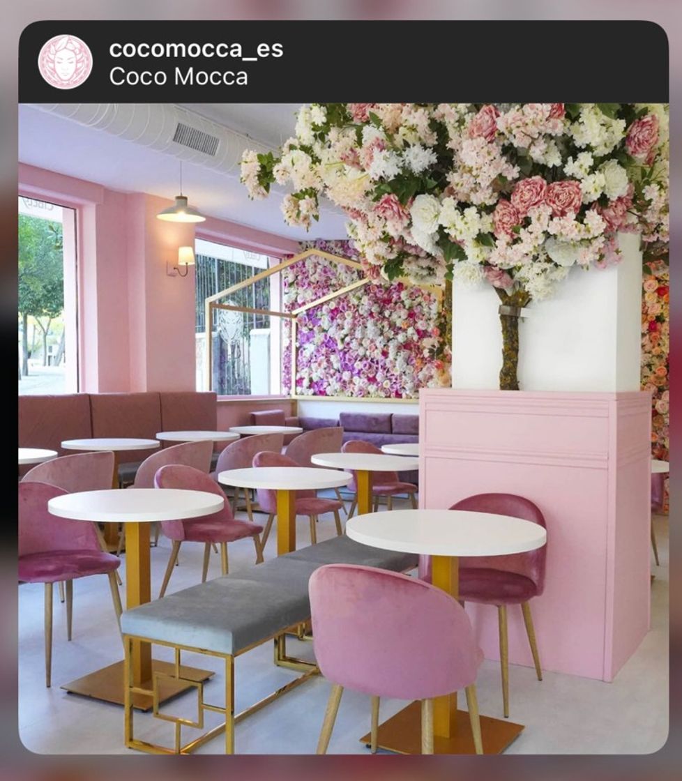 Restaurants Coco Mocca