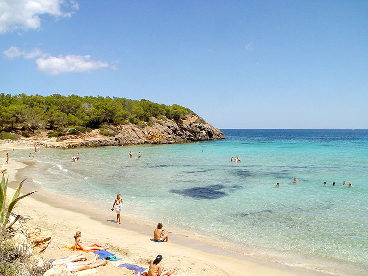 Restaurantes Cala nova