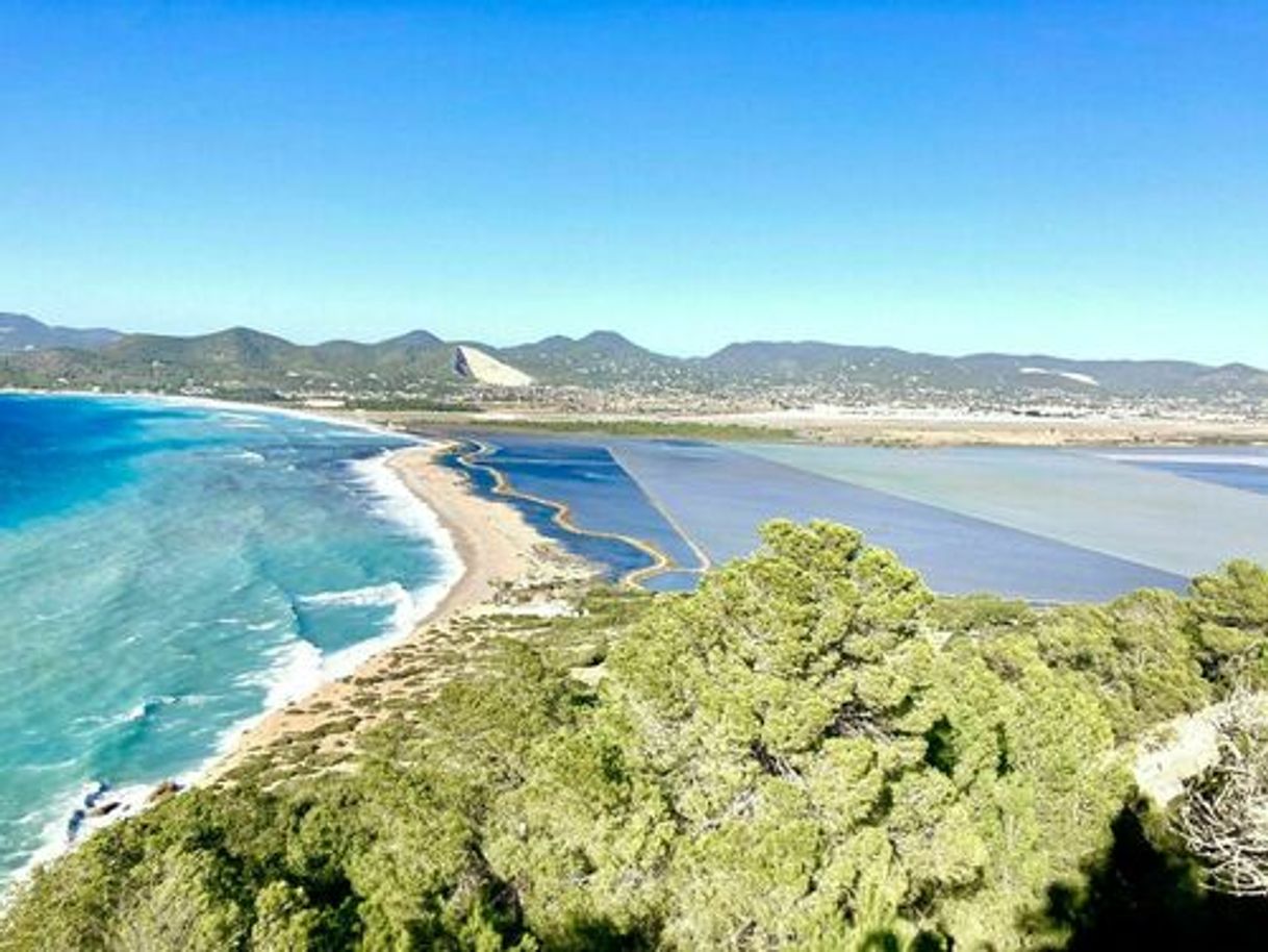 Place Parque Natural Ses Salinas Ibiza