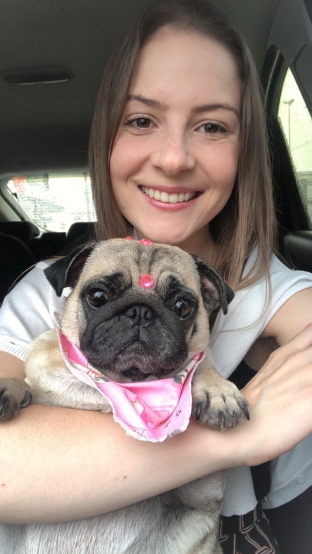 Moda Pug 💖