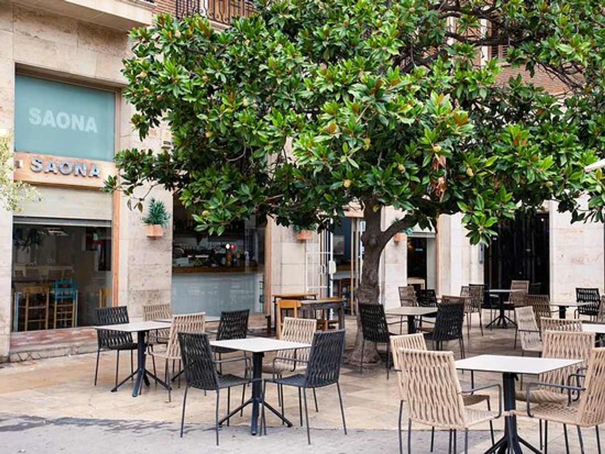 Restaurantes Saona plaza de la virgen