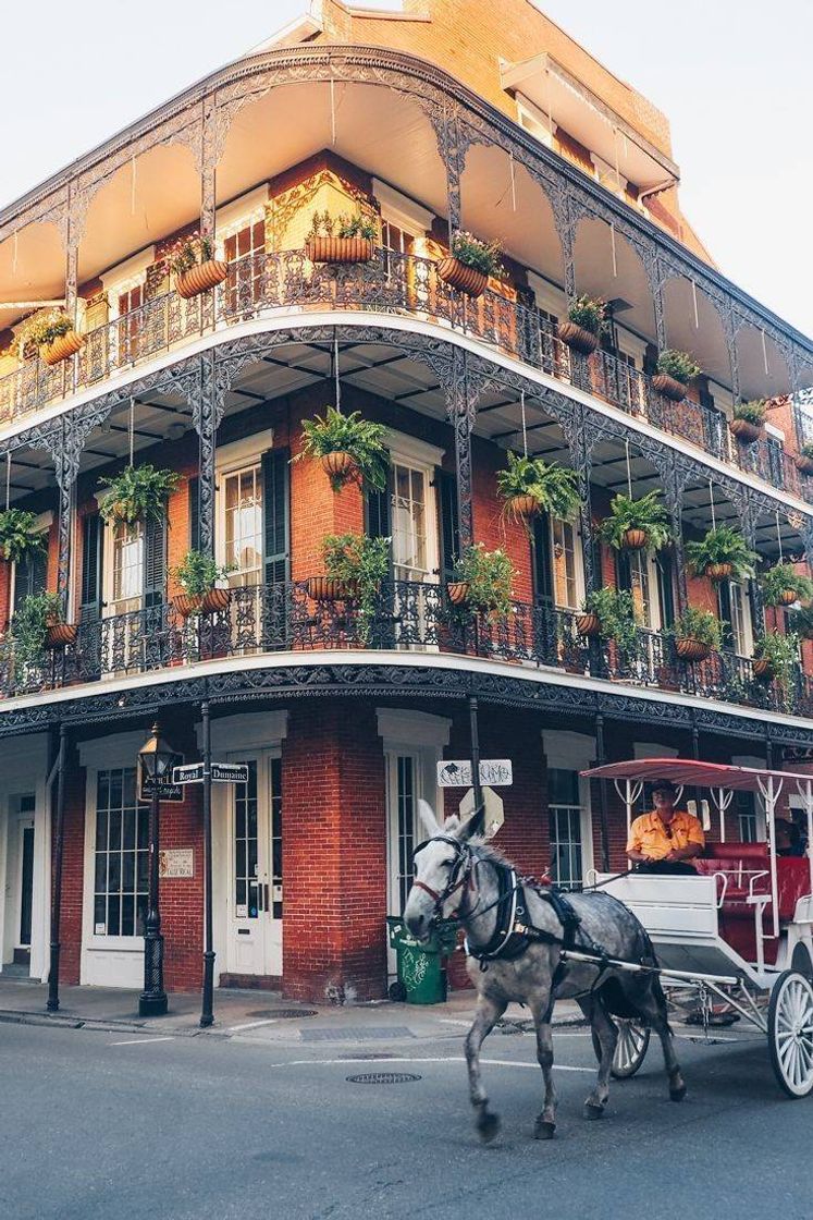 Local Nueva Orleans