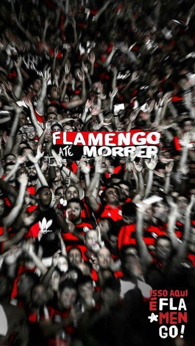 Social FLA